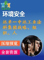 遠(yuǎn)卓－中遠(yuǎn)工業(yè)涂料集團(tuán)戰(zhàn)略、組織、人力資源規(guī)劃咨詢?nèi)福?34m）