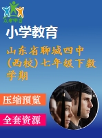 山東省聊城四中(西校)七年級下數(shù)學期末復習試題
